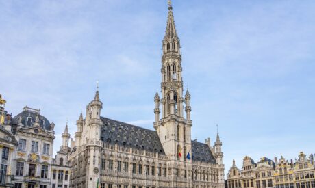 Read our article : "7th Biennial World Congress (2022)"